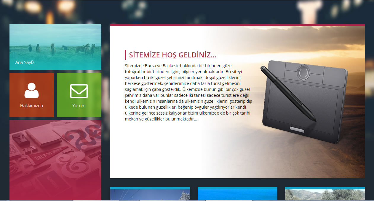 Bursa-Bal�kesir Bl