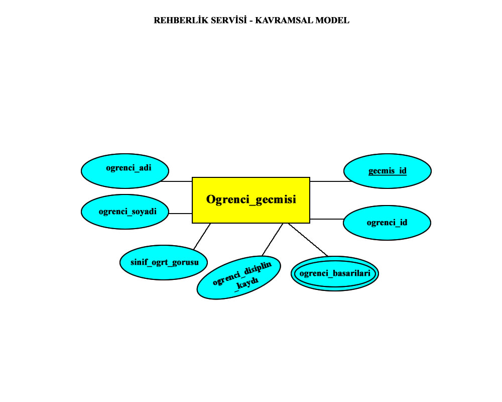 Veri Taban� Y�neti