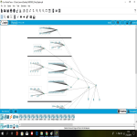 A� Ba�lant�s� Final Proje �devi