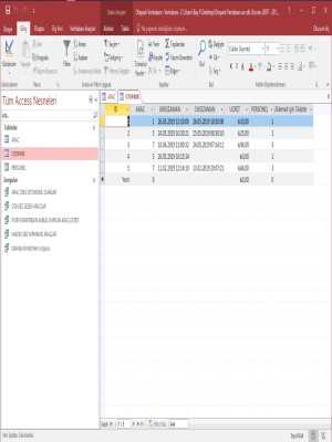 Otopark Veritaban�
