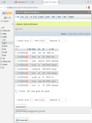 Veri Taban� Y�neti