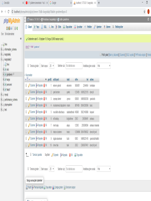 Veri Taban� Y�neti