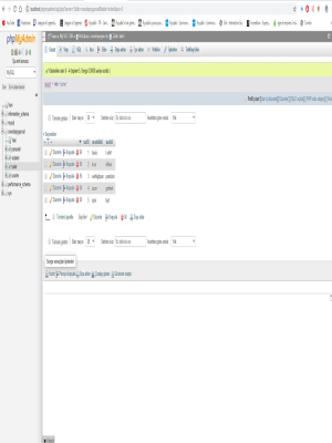 OXXO DEPO S�STEM�-